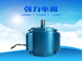 科瑞萊環(huán)?？照{1.1KW專用電機